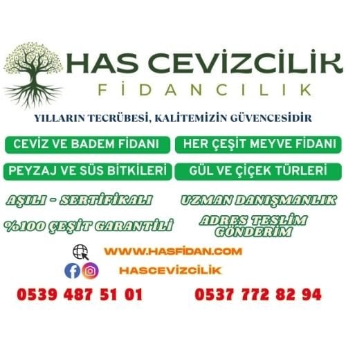 has_cevizcilik_fidancılık