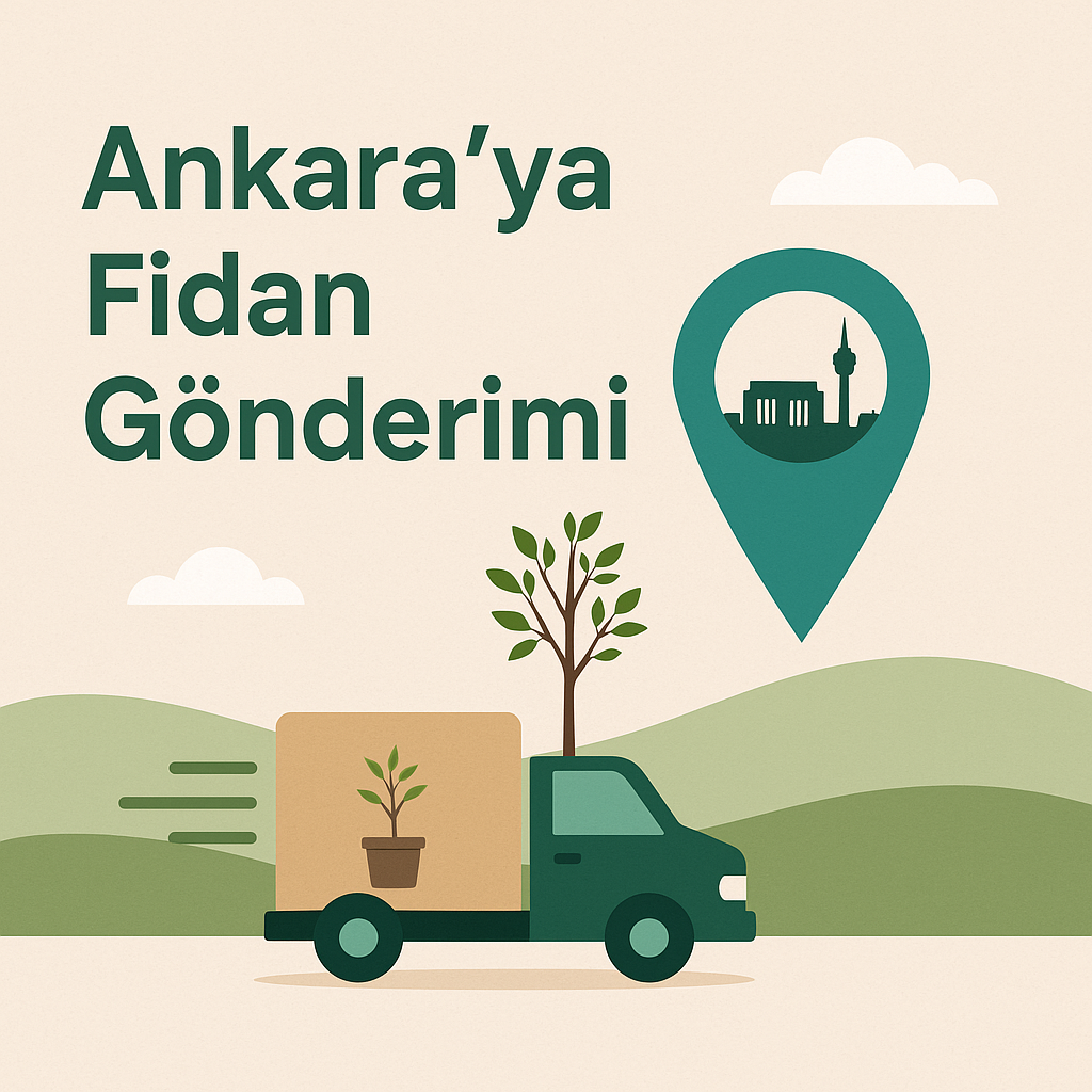 Ankara Yetişen Meyve Çeşitleri ve Ankara İline Fidan Gönderimi