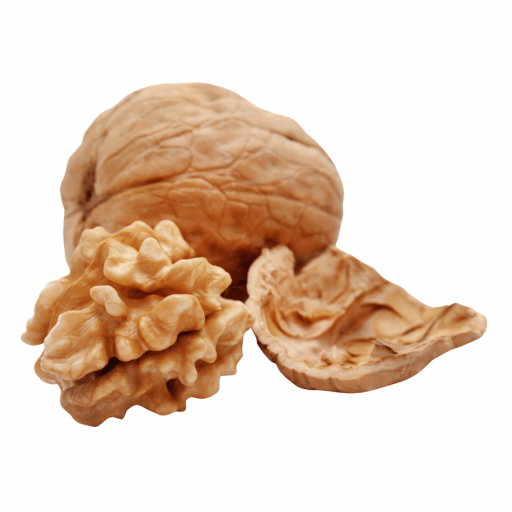 FERNOR CEVİZ FİDANI