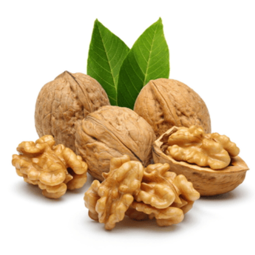 RONDE CEVİZ FİDANI