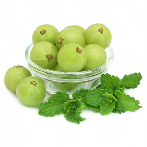 BEKTAŞİ ÜZÜMÜ FİDANI