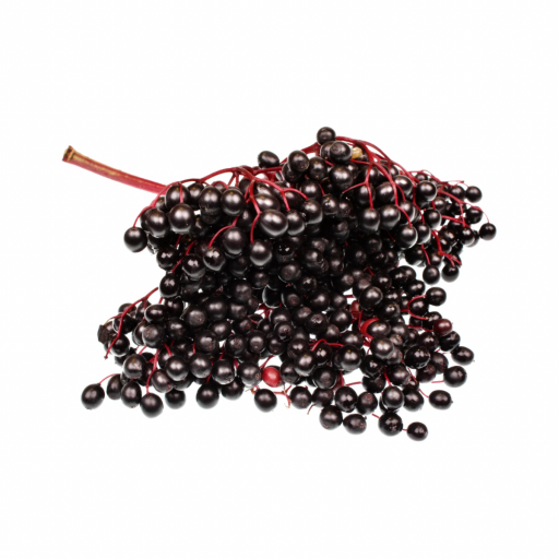 KARA MÜRVER FİDANI