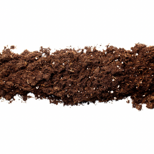 BİTKİ TOPRAKLARI VE TORFLAR