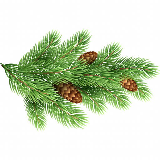 NADİR BULUNAN TÜRLER