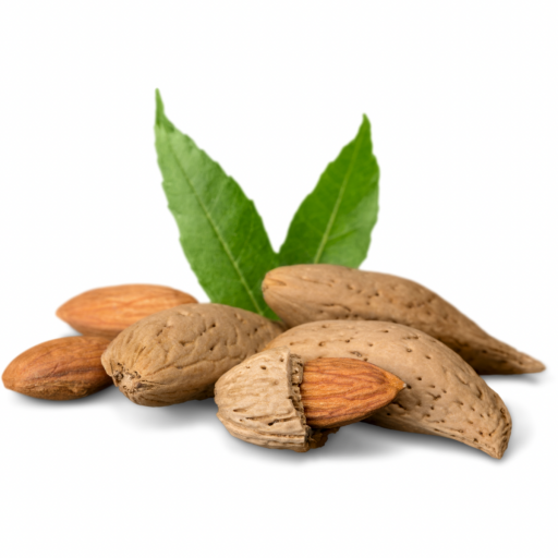 FERRADUEL BADEM FİDANI