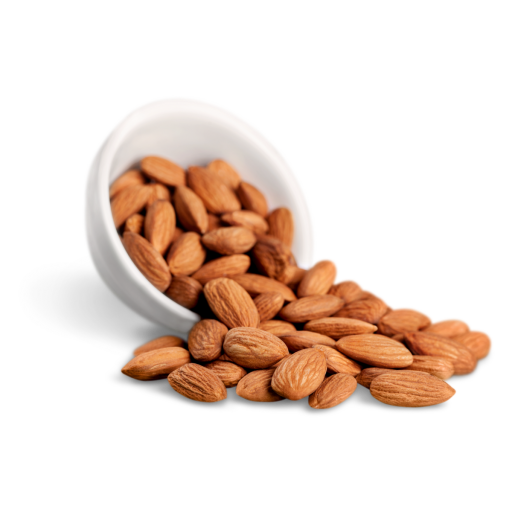 NONPAREİL BADEM FİDANI