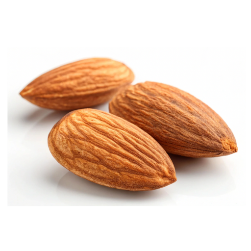 BERTİNA BADEM FİDANI