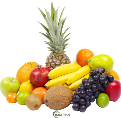 2-3 YAŞ TÜPLÜ MEYVE FİDANLARI