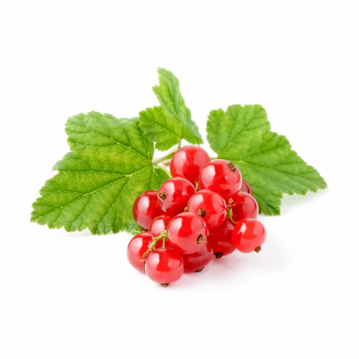 FRENK ÜZÜMÜ FİDANI