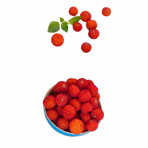 DAĞ ÇİLEĞİ FİDANI