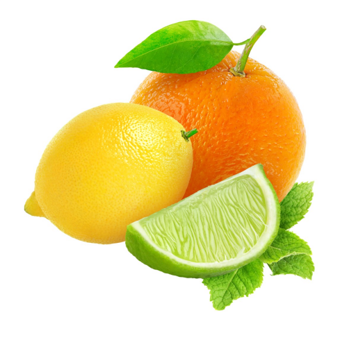 NARENCİYE FİDANLARI