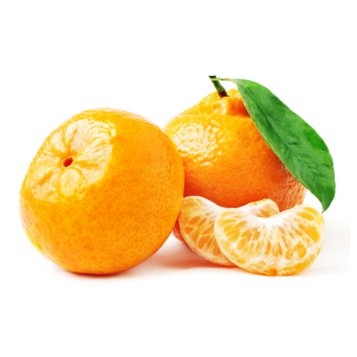 MANDALİNA FİDANLARI