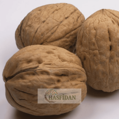 Tülare Ceviz Fidanı Köklü-Sertifikalı