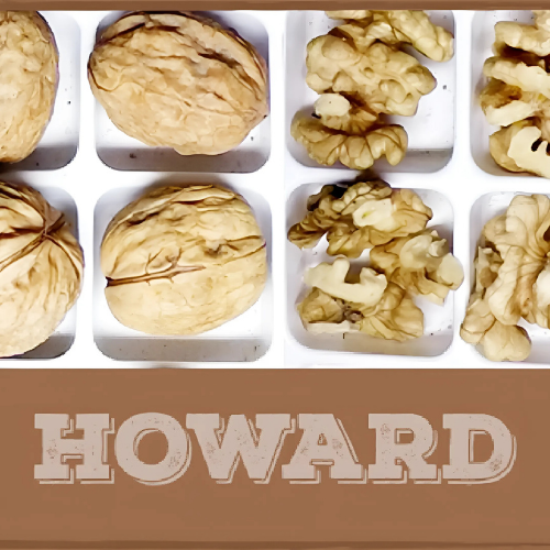 HOWART CEVİZ FİDANI