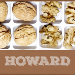 HOWART CEVİZ FİDANI