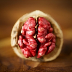 Kırmızı Ceviz Fidanı Köklü-Aşılı