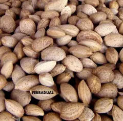 FERRADUEL BADEM FİDANI