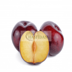 Anjelika Erik Fidanı Köklü-3 Yaş