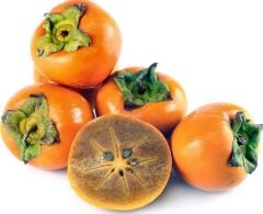 3 YAŞ TÜPLÜ TRABZON HURMASI FİDANI KAKAOLU (Hachiya)