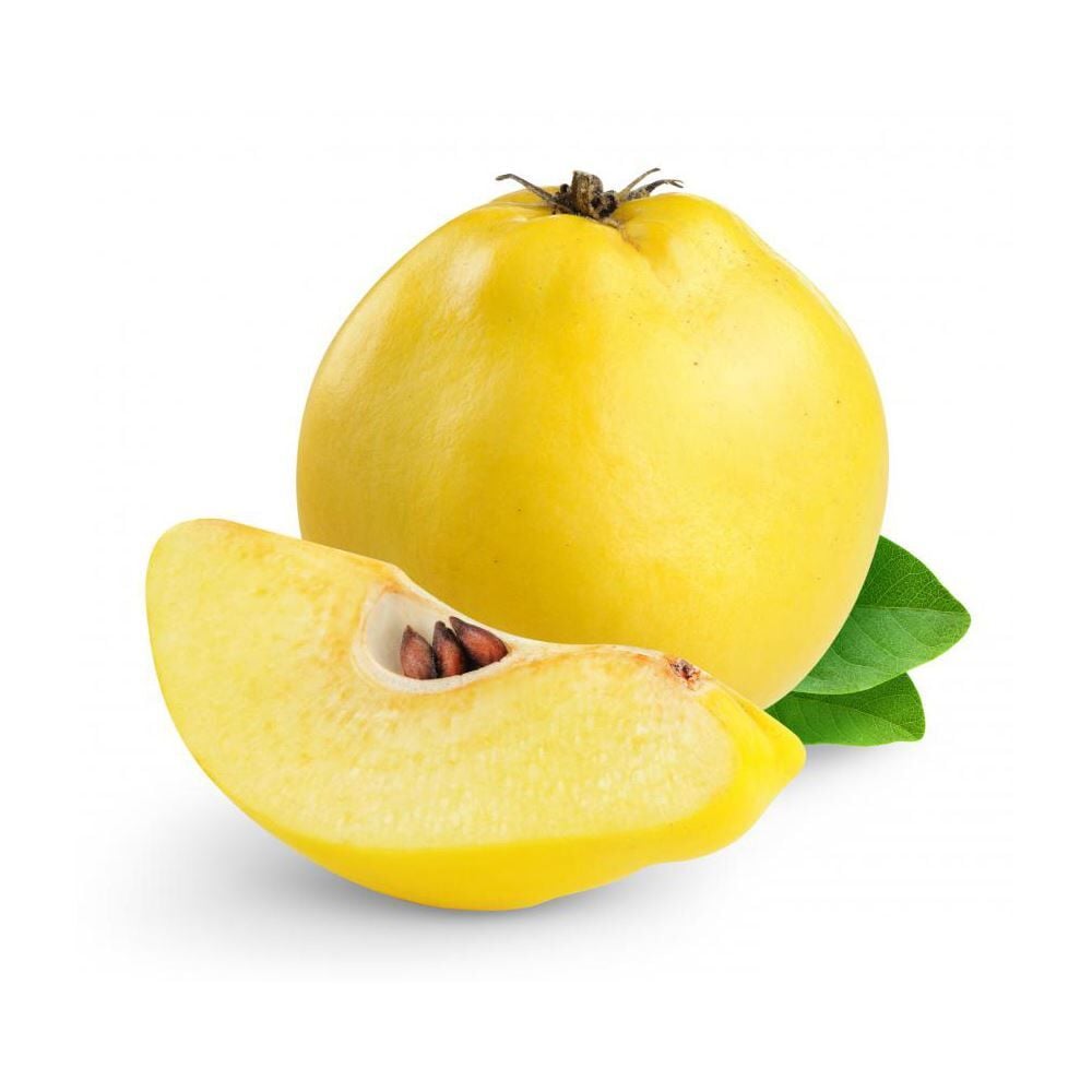 Eşme Ayva Fidanı - Tüplü - 3 Yaş