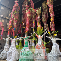 Early Burlat Kiraz Fidanı - Tüplü - 3 Yaş