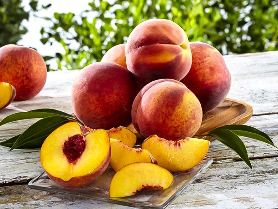 3 YAŞ TÜPLÜ GEÇÇİ ŞEFTALİ FİDANI