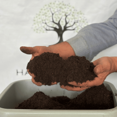 Green Flower Organik Bitki Toprağı-Torf 20 Lt