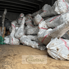 Yaz Elması Fidanı Köklü-3 Yaş