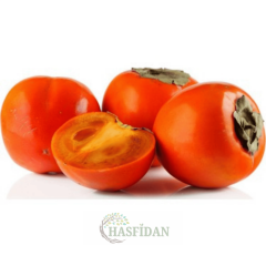 Hachiya Trabzon Hurması Fidanı Köklü-3 Yaş