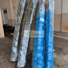 Ceviz Aşı Kalemi 100-120 Cm (5 Aşı Kalemi)