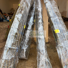 Ceviz Aşı Kalemi 100-120 Cm (5 Aşı Kalemi)