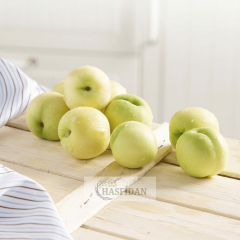 Bayramiç Beyaz Nektarin Fidanı - 4 Yaş/Saksılı