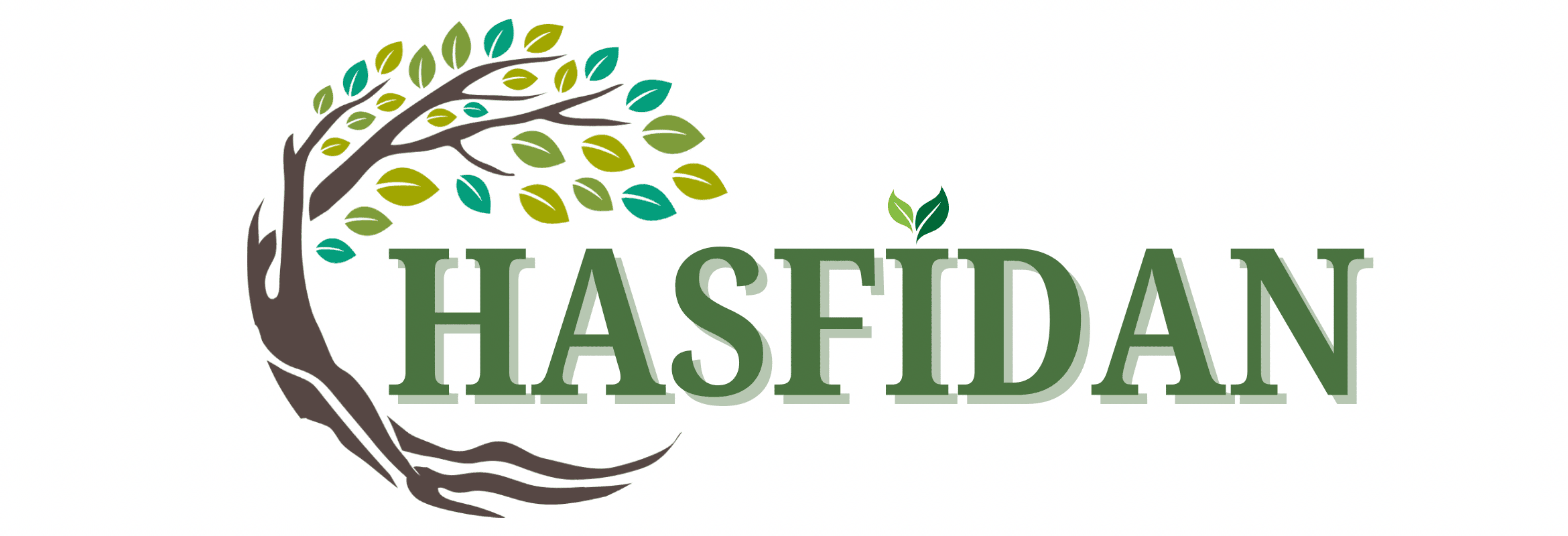 Ronde Ceviz Fidanı Köklü-Sertifikalı 1.60 MT - 2.30 MT | HAS FİDAN