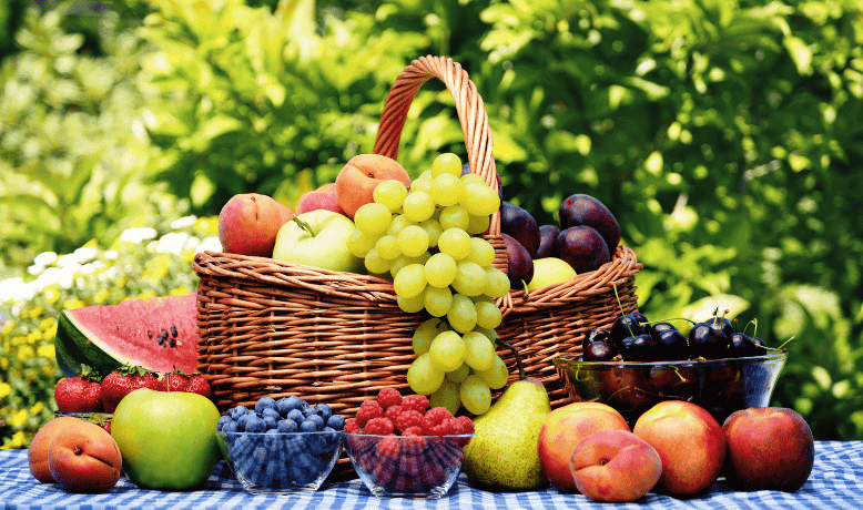 Her Çeşit <br> Meyve Fidanları